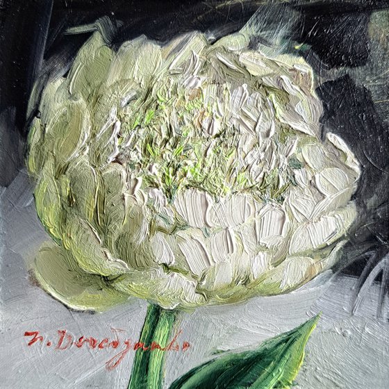 White peony