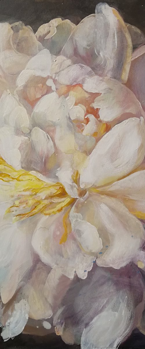 “In the light.Peony” by Anna Silabrama