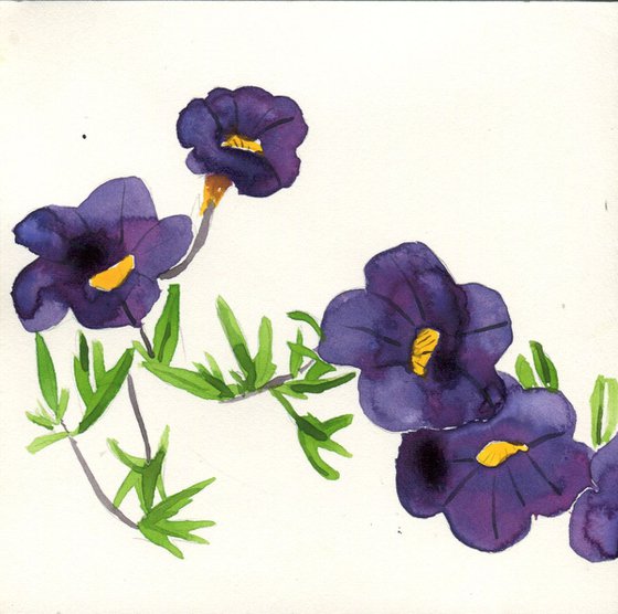 Violets