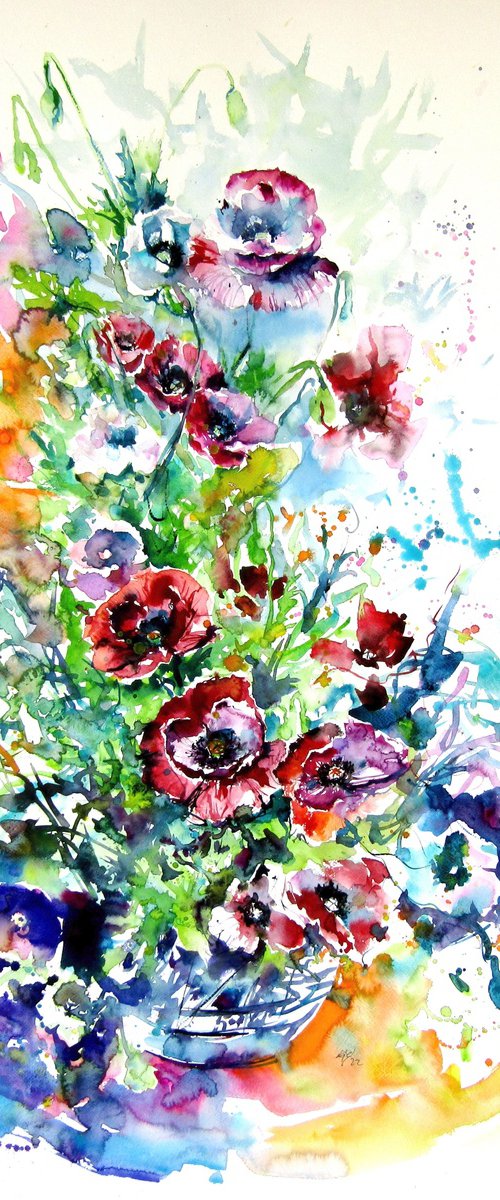 Colorful poppies in the garden by Kovács Anna Brigitta