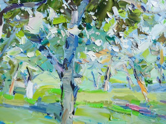 " Apple orchards"