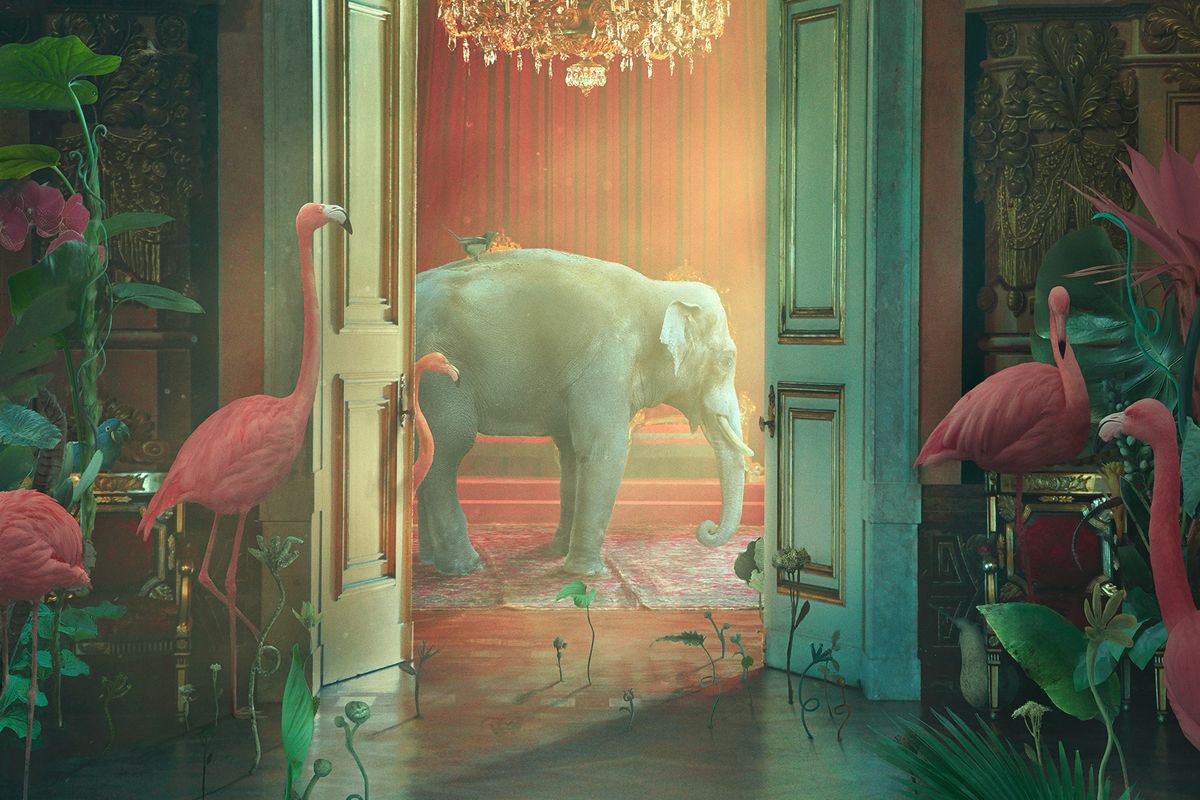 Surrealistic Animal Photograph By Nikolina Petolas, 35 X 24", Jungle Nights, Original Artwork