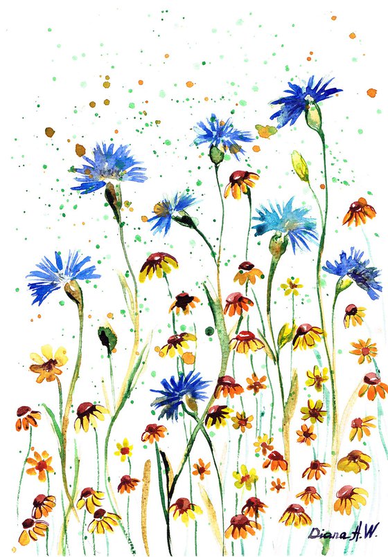 Meadow Flowers