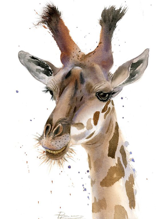 giraffe portrait