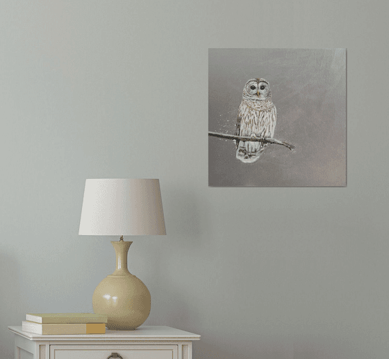 Tawny Owl ~ on silver