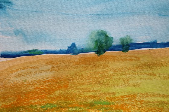 Yellow field