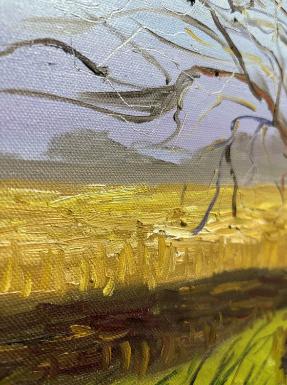 Lone Tree in a March Field