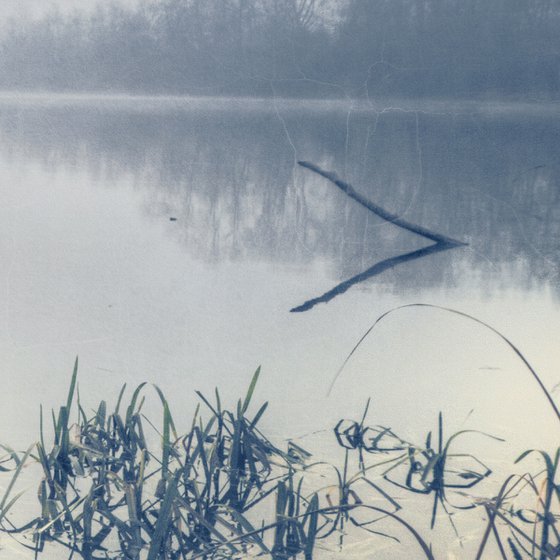 Fog on the lake.