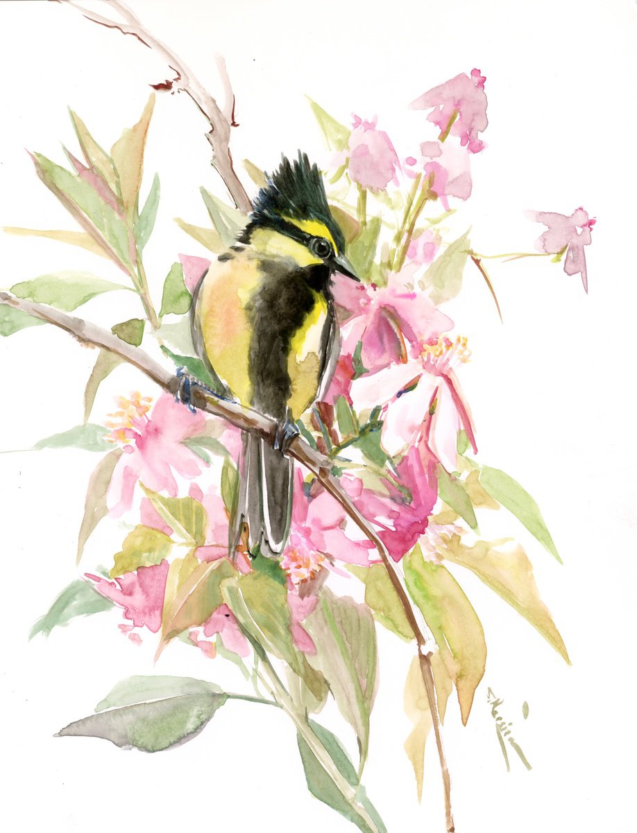 Himalayan black-lored tit, original watercolor painting, birds of Himalayas by Suren Nersisyan