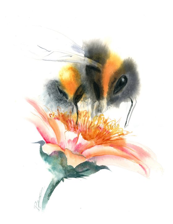 Honey bee and flower