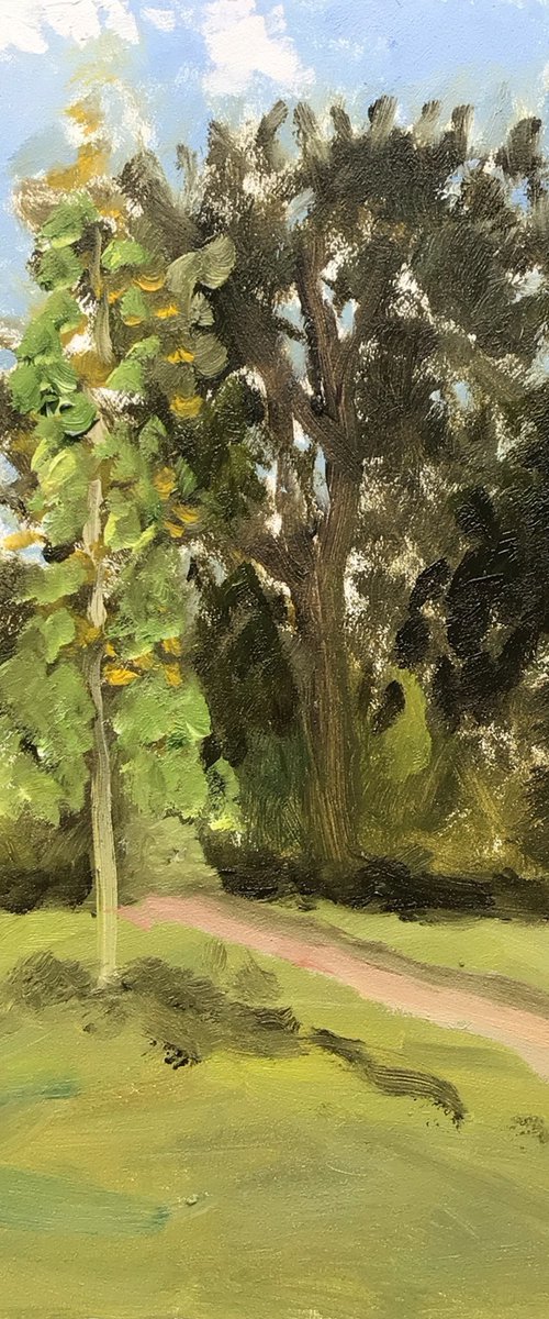 Cypress trees by the sea. by Julian Lovegrove Art