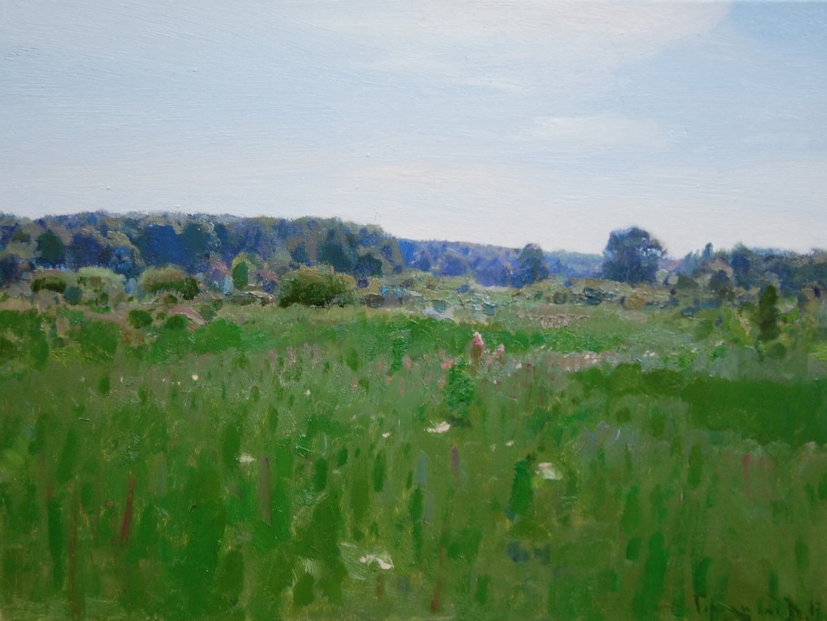 In The Meadow By Denys Gorodnychyi, 16 X 12, Artwork For Sale On Artfinder