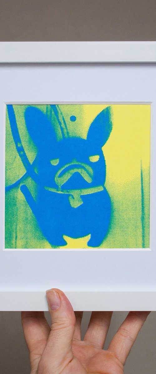 'Blue' French Bulldog (small framed artists proof) by AH Image Maker