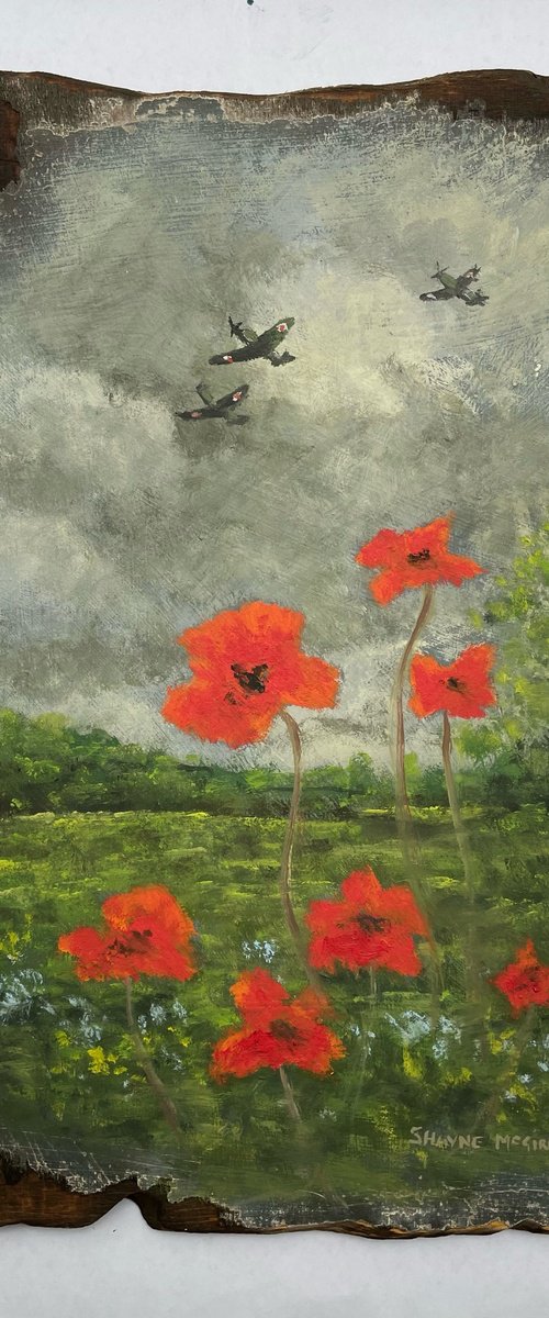 Spitfires and poppies by Shayne McGirr