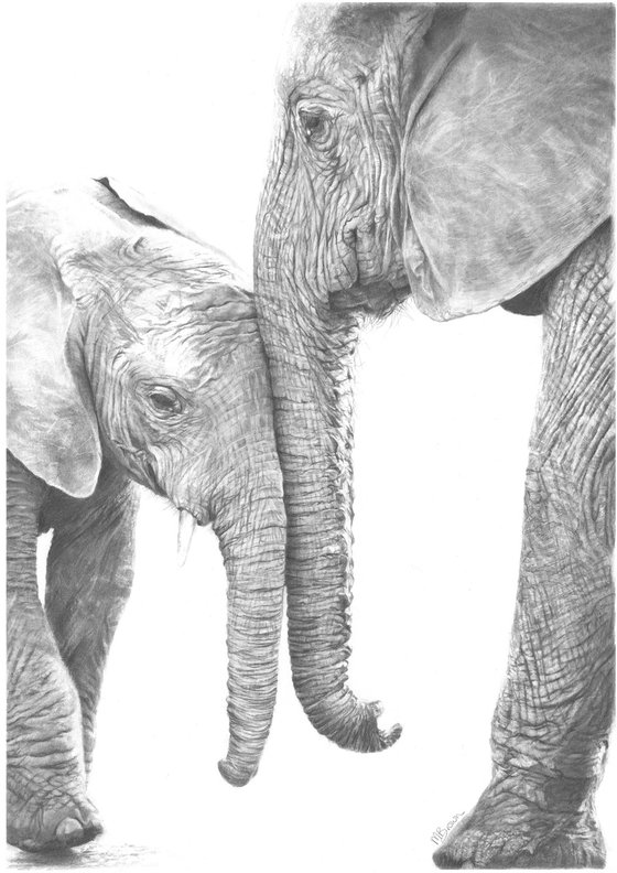 A Mother's Love