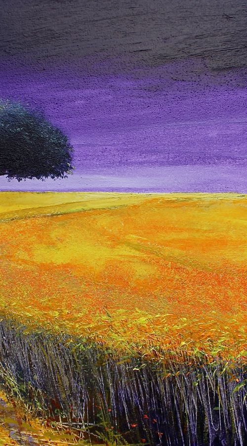 Solaris Dreamfields VIII by Simon Jones
