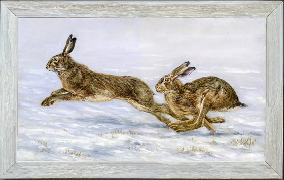 Hares, brown hares