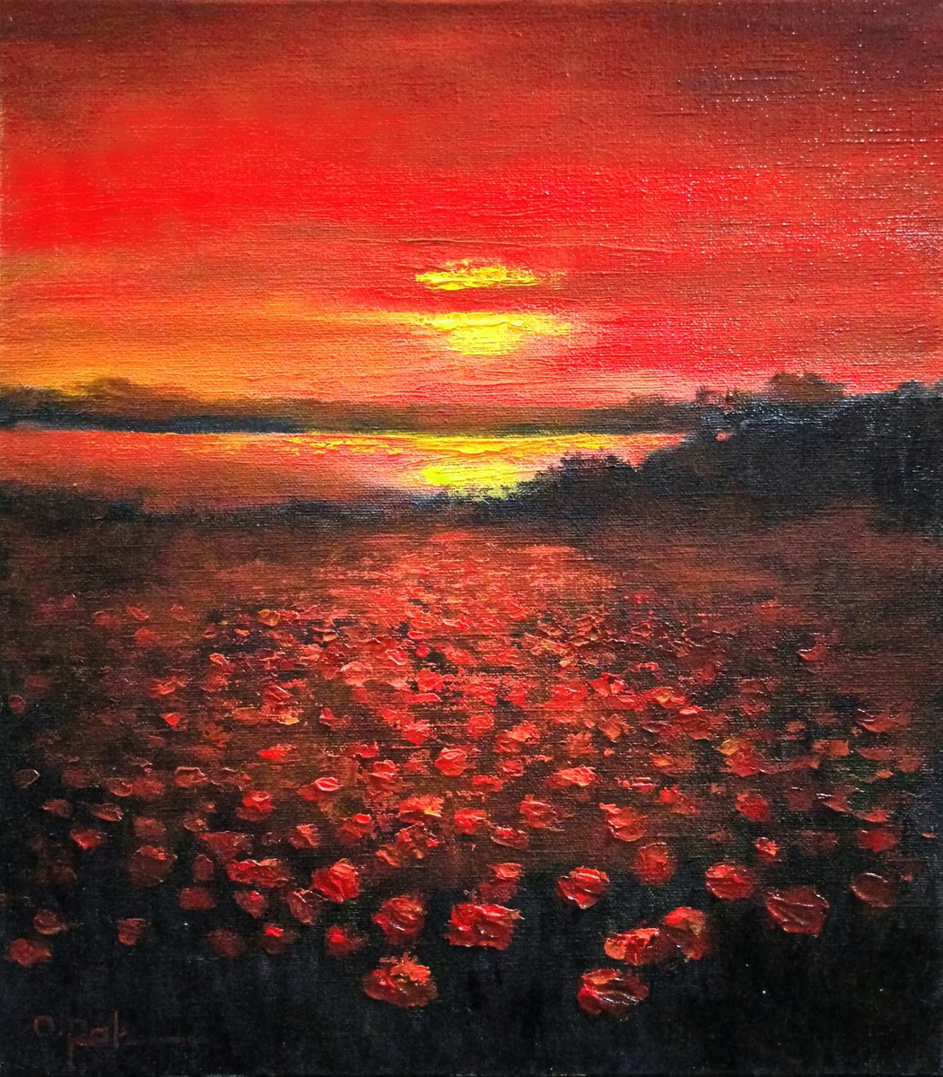 Poppy field at sunset by Oleh Rak