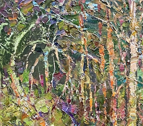 Springs of a mountain stream