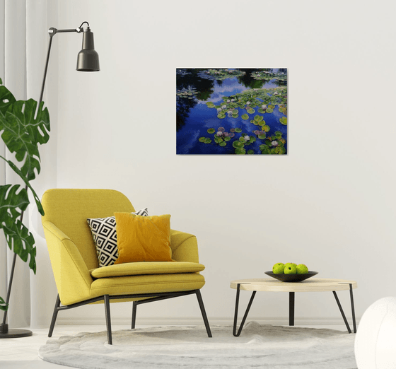 "Water lilies on the water"