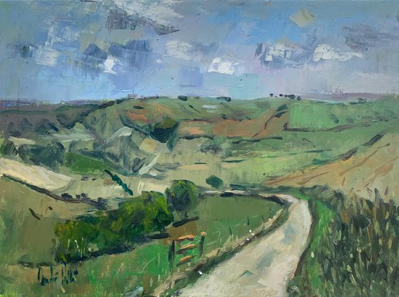 The Downs near Steyning.