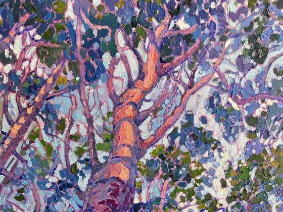 Pine Ascent