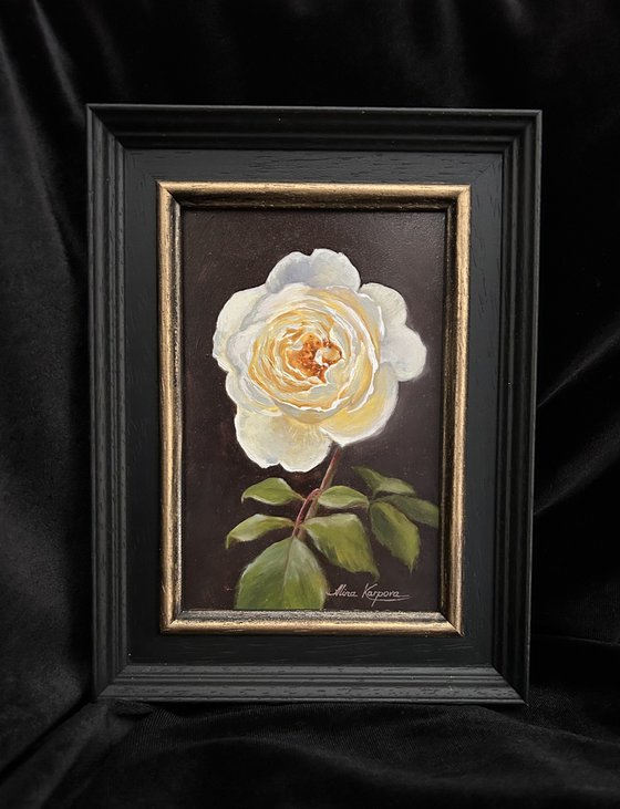 White rose