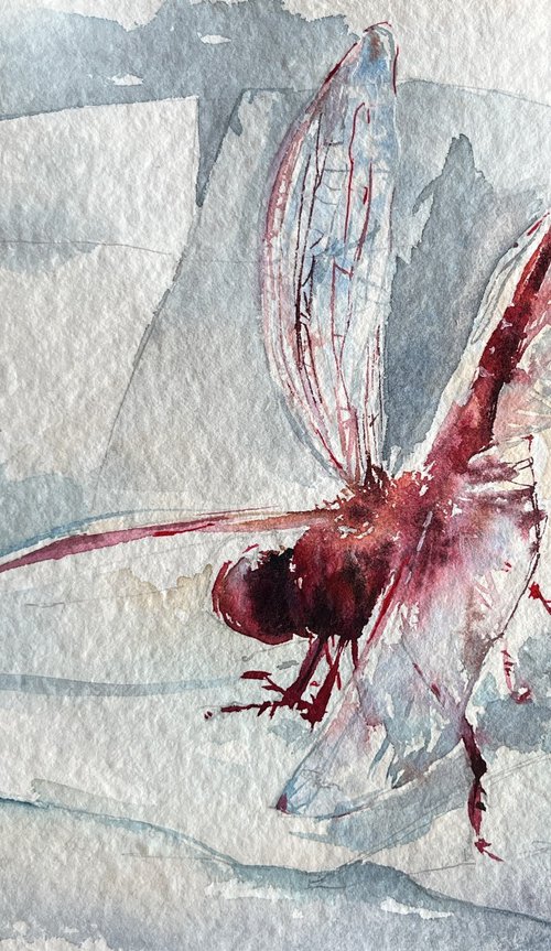 Insectopia/Red by Larissa Rogacheva