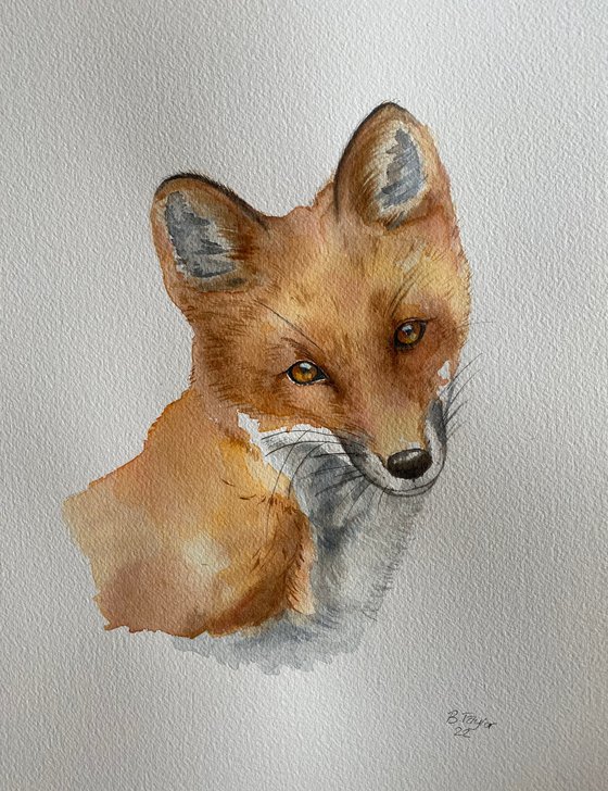 Fox watercolour painting
