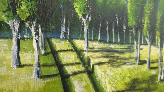 Long Shadows