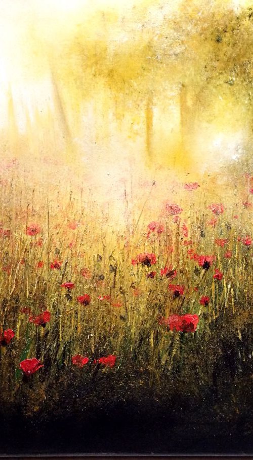 Summer Evening Haze by Kimberley  Harris