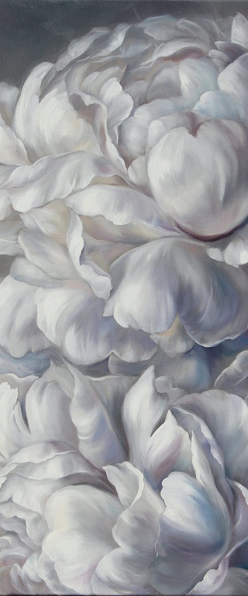 Silver peonies by Diana Tuchs