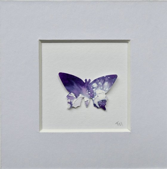 One Purple and white Butterfly