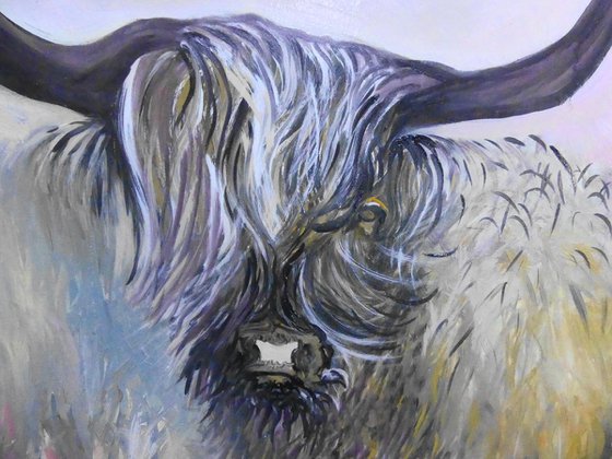 Moody Cow