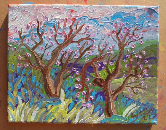 Almond blossom trees II