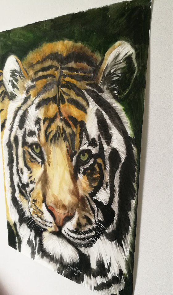 Watchful ( watercolour tiger) Free Shipping
