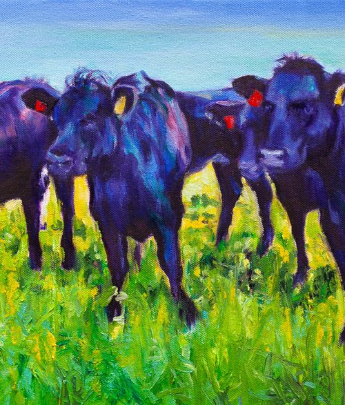Angus Beauty by Liudmila Pisliakova
