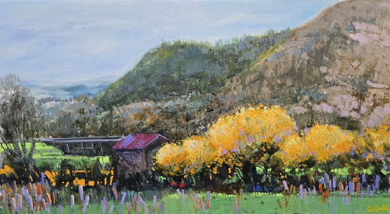 Where Mimosas Bloom