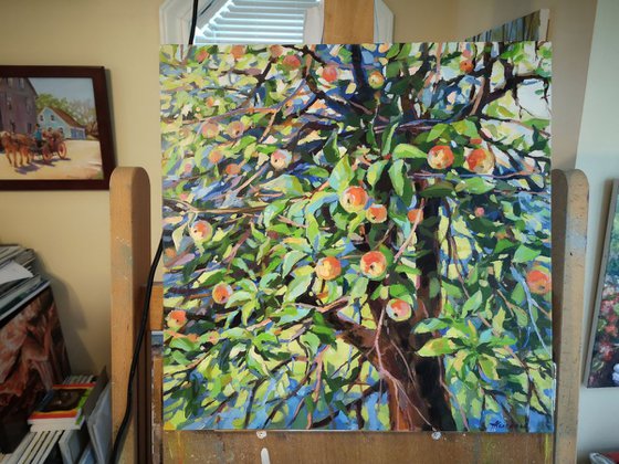 An apple tree (14x14x0.7'')