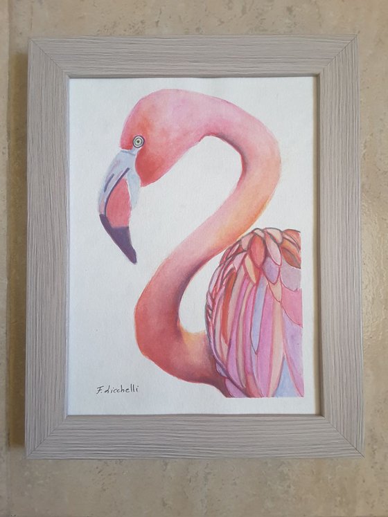 Pink flamingo