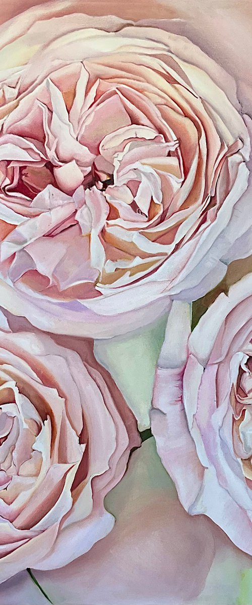 Soft Pink Roses by Natalia Lugovskaya