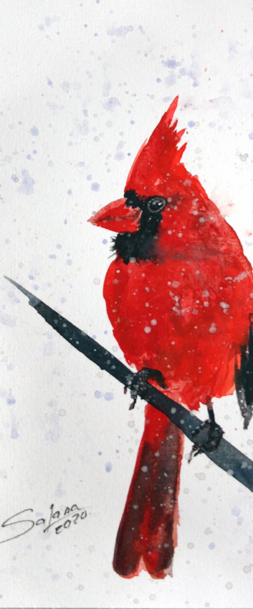 Cardinal II - Bird portrait /  ORIGINAL PAINTING by Salana Art Gallery