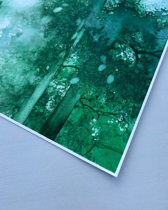 Emerald Forest Reflection