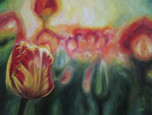 Tulip garden by Olga Knezevic