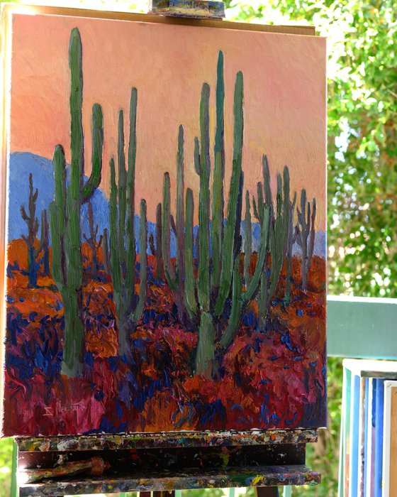 Dusk in the Desert. Saguaros