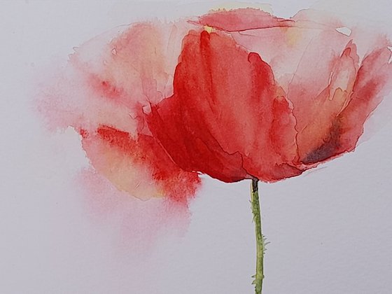 Poppy II, Original watercolour painting