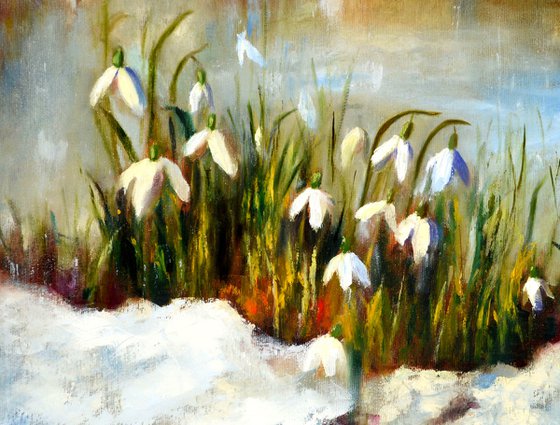 Snowdrops