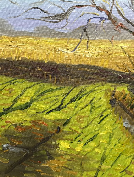 Lone Tree in a March Field