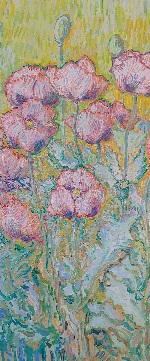 Wild Poppies by Nigel Dickerson
