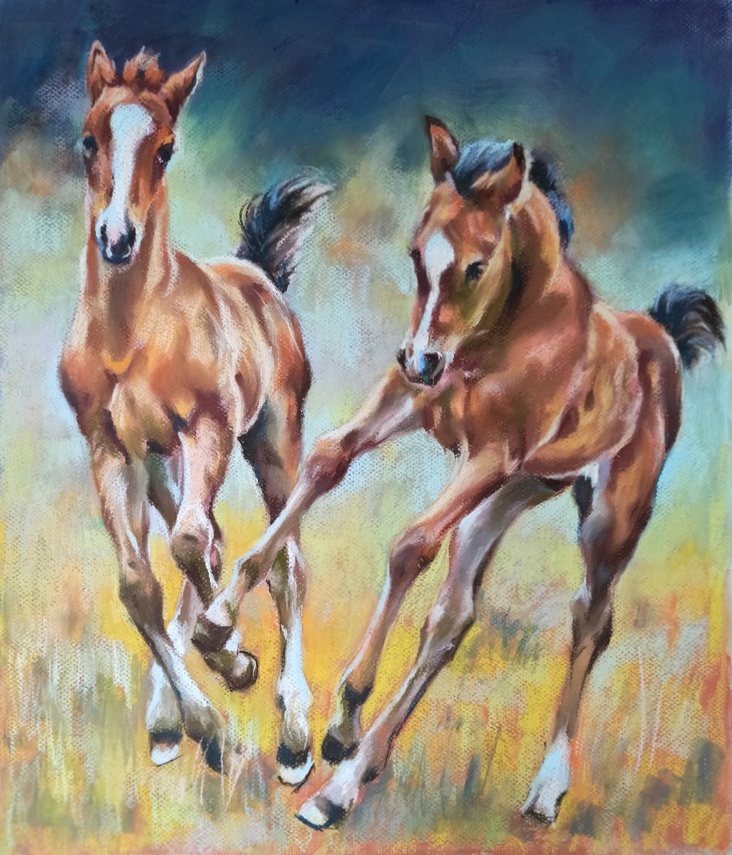 foals by Magdalena Palega